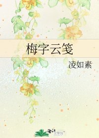 梅字云笺