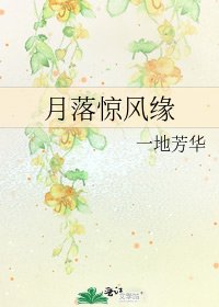 月落惊风缘