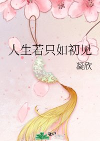 人生若只如初见