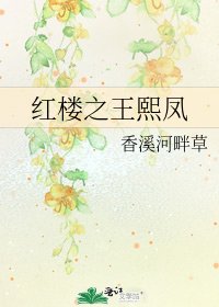 紅樓之王熙鳳