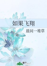 《如果飞翔》