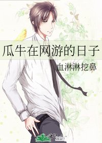 瓜牛在网游的日子