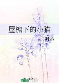屋檐下的小猫
