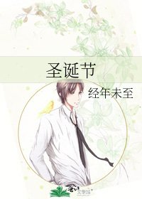 圣诞节