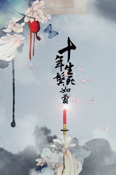 十年生死鬓如霜