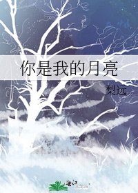 你是我的月亮