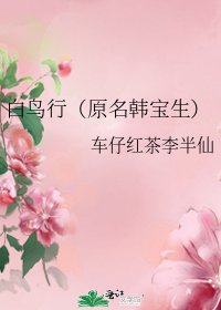 白鸟行(原名韩宝生)