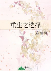 《重生之选择》