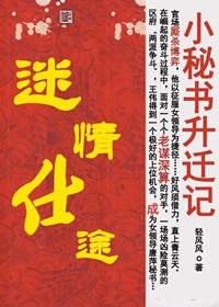 小秘书升迁记:迷情仕途()