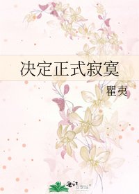 决定正式寂寞