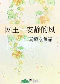 网王-安静的风