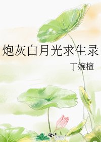 炮灰白月光求生录