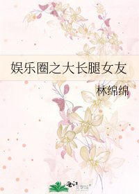 娱乐圈之大长腿女友