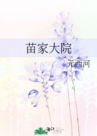 苗家大院