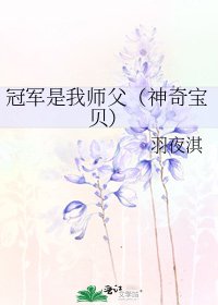 冠军是我师父(神奇宝贝)