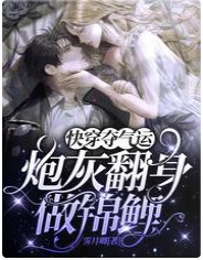 跪穿夺气运:刨灰翻阂做锦鲤