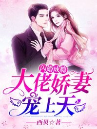 閃婚成癮:大佬嬌妻寵上天