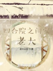 《四合院之閆家老大》