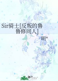 Sir騎士[反叛的魯魯修同人]