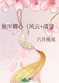 《彼岸卿心(風雲+清穿)》