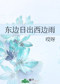 东边日出西边雨