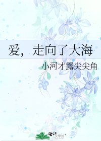 爱,走向了大海