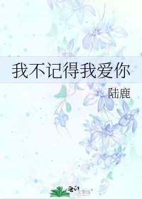 《我不記得我愛你》