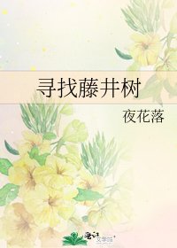 寻找藤井树
