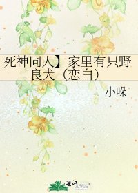 《死神同人】家裏有隻野良犬(戀白)》