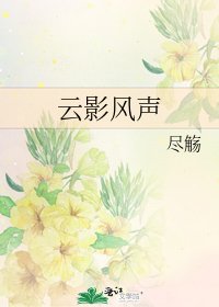 云影风声
