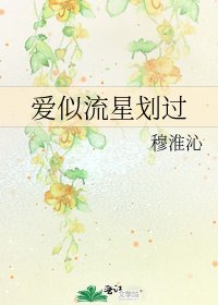 愛似流星劃過
