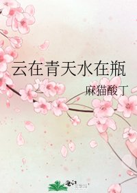 云在青天猫在瓶