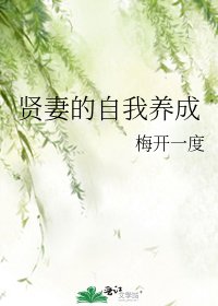 贤妻的自我养成