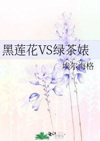 黑蓮花VS綠茶婊