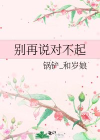 别再说对不起