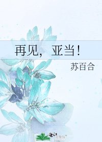 再見，亞當！