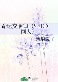 命运交响律(SEED同人)