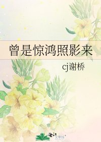 曾是驚鴻照影來