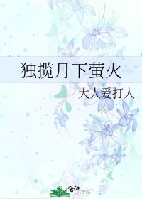 《独揽月下萤火》