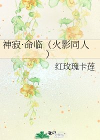 神寂·命临(火影同人)