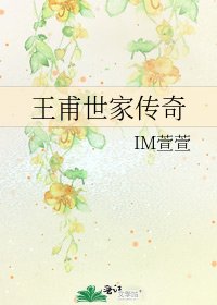 王甫世家传奇