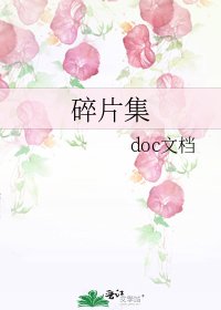 碎片集