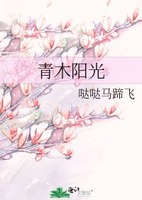 青木阳光