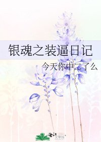 银魂之装逼日记