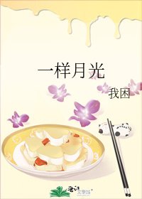 一樣月光