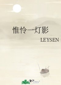 《惟怜一灯影》
