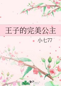 王子的完美公主