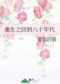 重生之回到八十年代