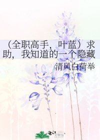 (全职高手,叶蓝)求助,我知道的一个隐藏身份的太太居然是我男朋友怎么破?在线等急。