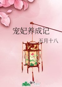 宠妃养成记